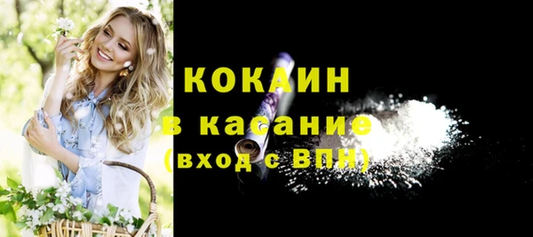 стаф Киренск