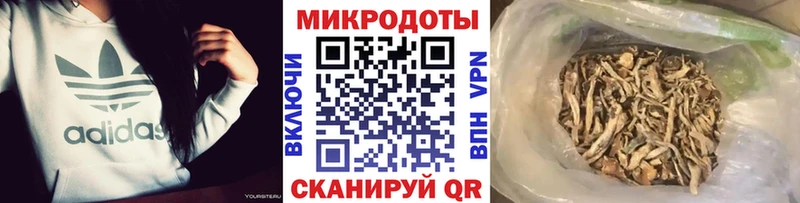 Купить где  Нарткала  Псилоцибиновые грибы ЛСД 